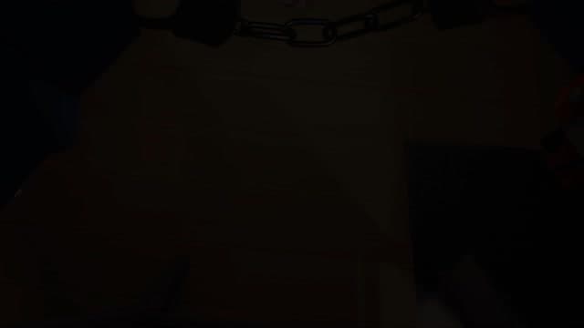 Zhu Captured Animation No BGM POV thumbnail