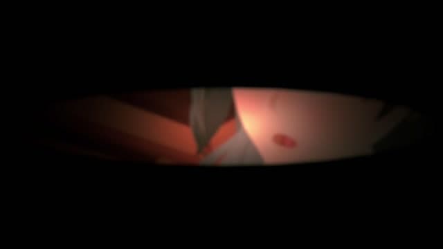 [HSR/WuWa/Genshin] Rover x Stelle x Lumine thumbnail
